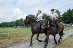 Losowe zdjęcie pochodzące z galerii wydarzenia: DOŻYNKI GMINNE 2018